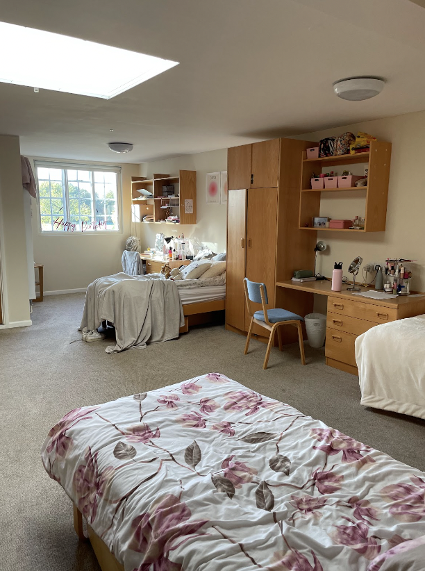 “Pack your Marmalade Sandwich, Paddington!” Visiting London Boarding