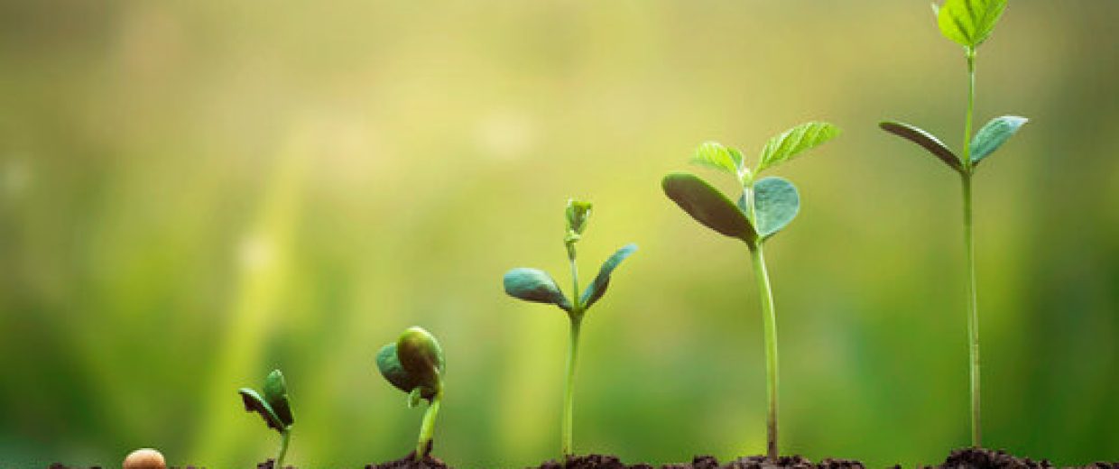 360_F_433213276_RDKMinxUmRa5SmxT0vxMin0LVdF05PlN