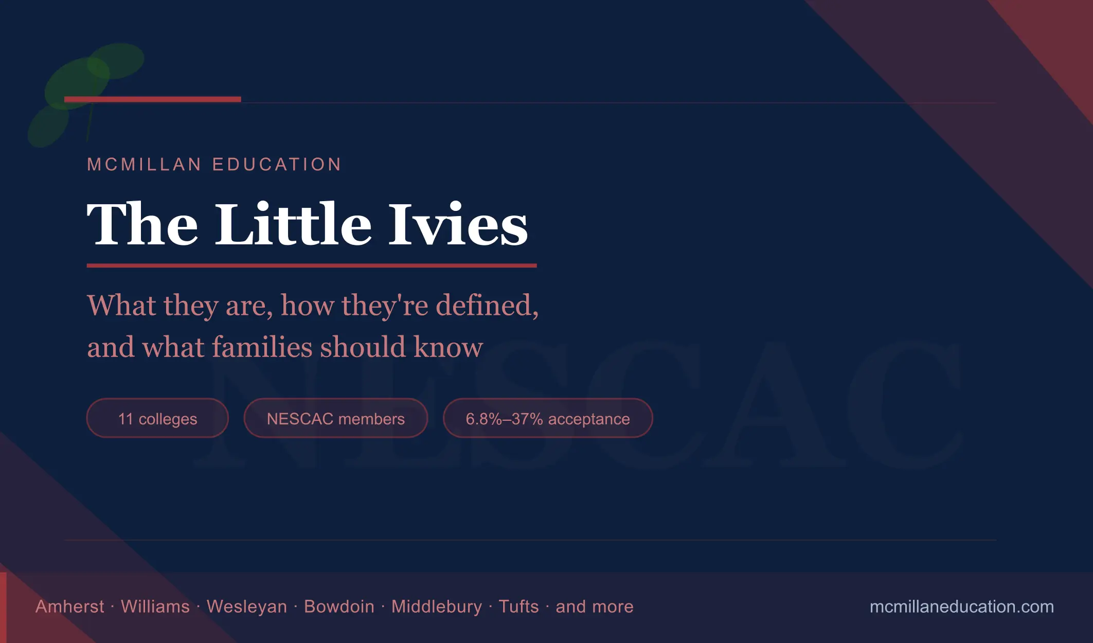 little ivies feature image